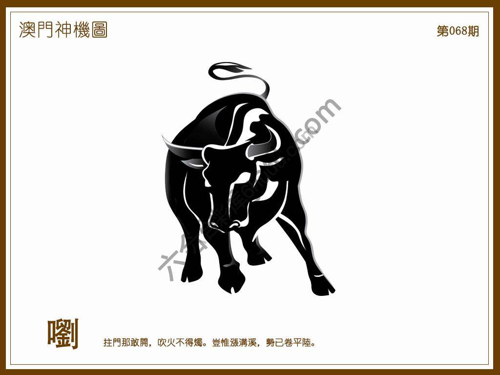澳门神机图