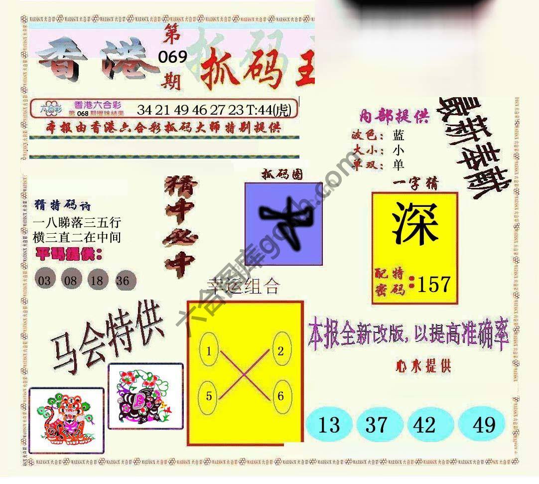 新抓码王
