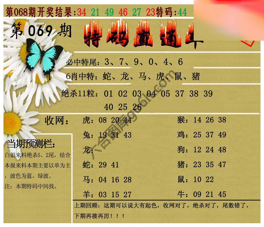 特码直通车