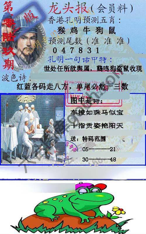龙头报
