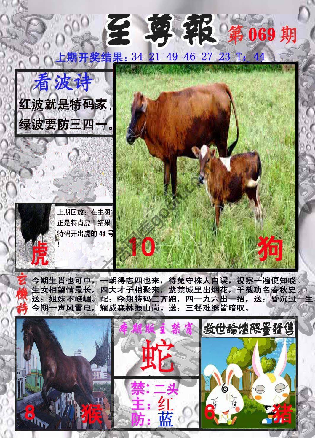 至尊报