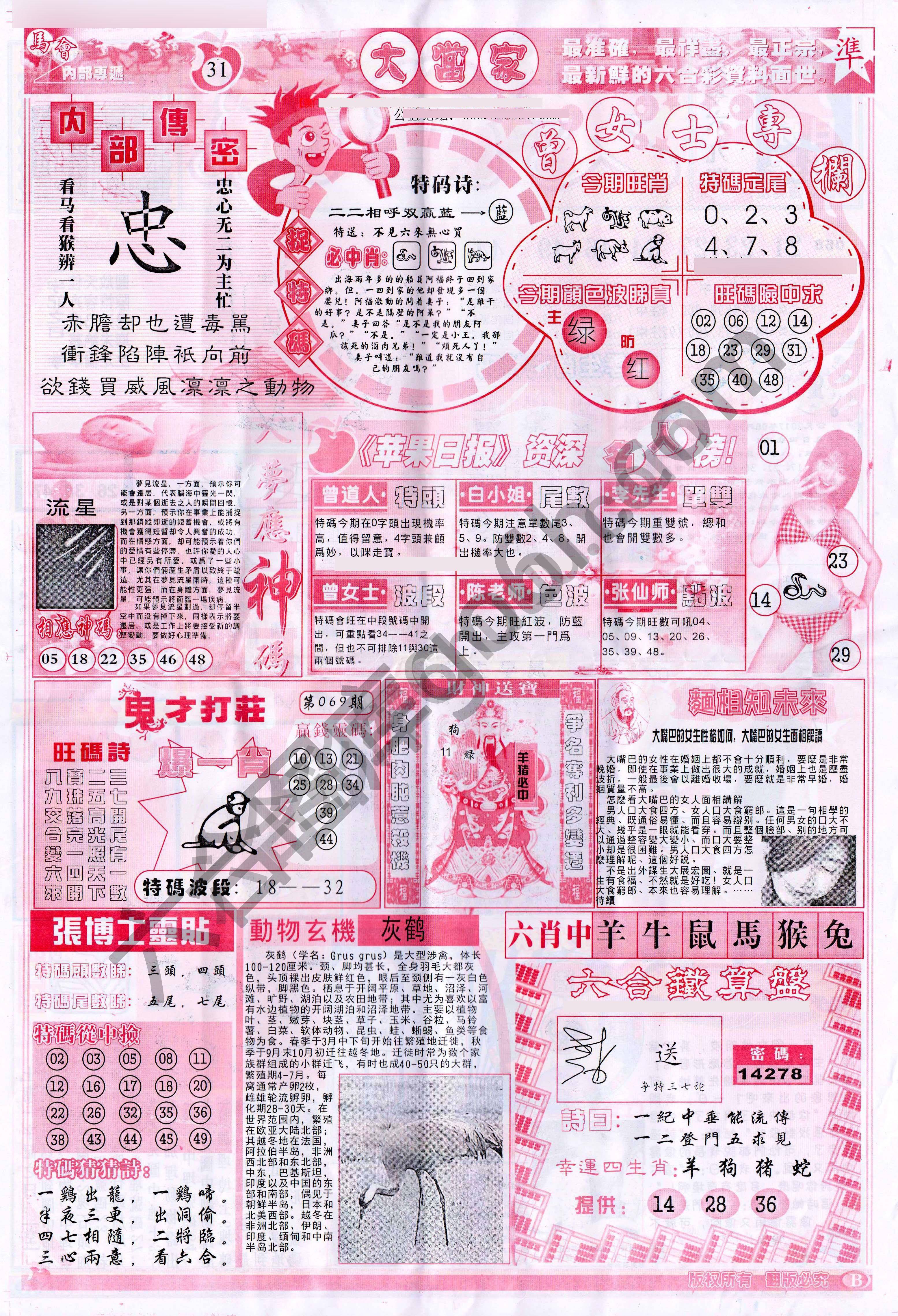 大当家