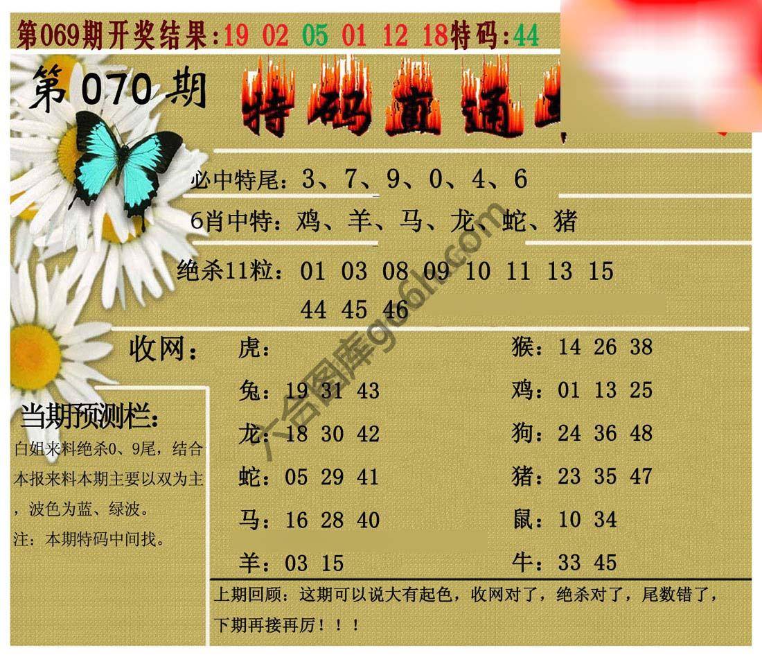 特码直通车