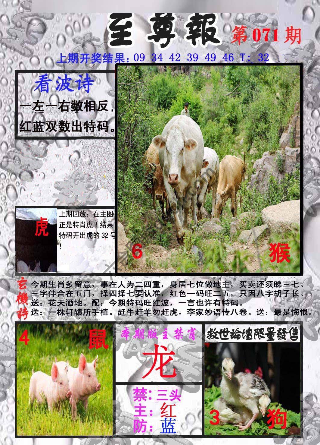 至尊报