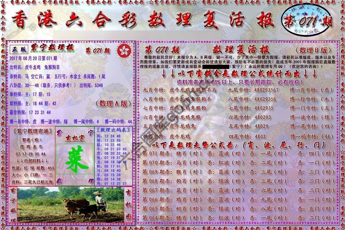 数理复活报