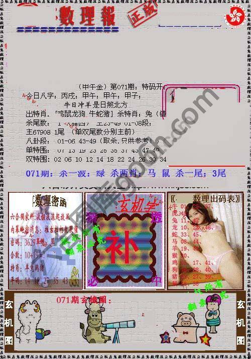 数理报