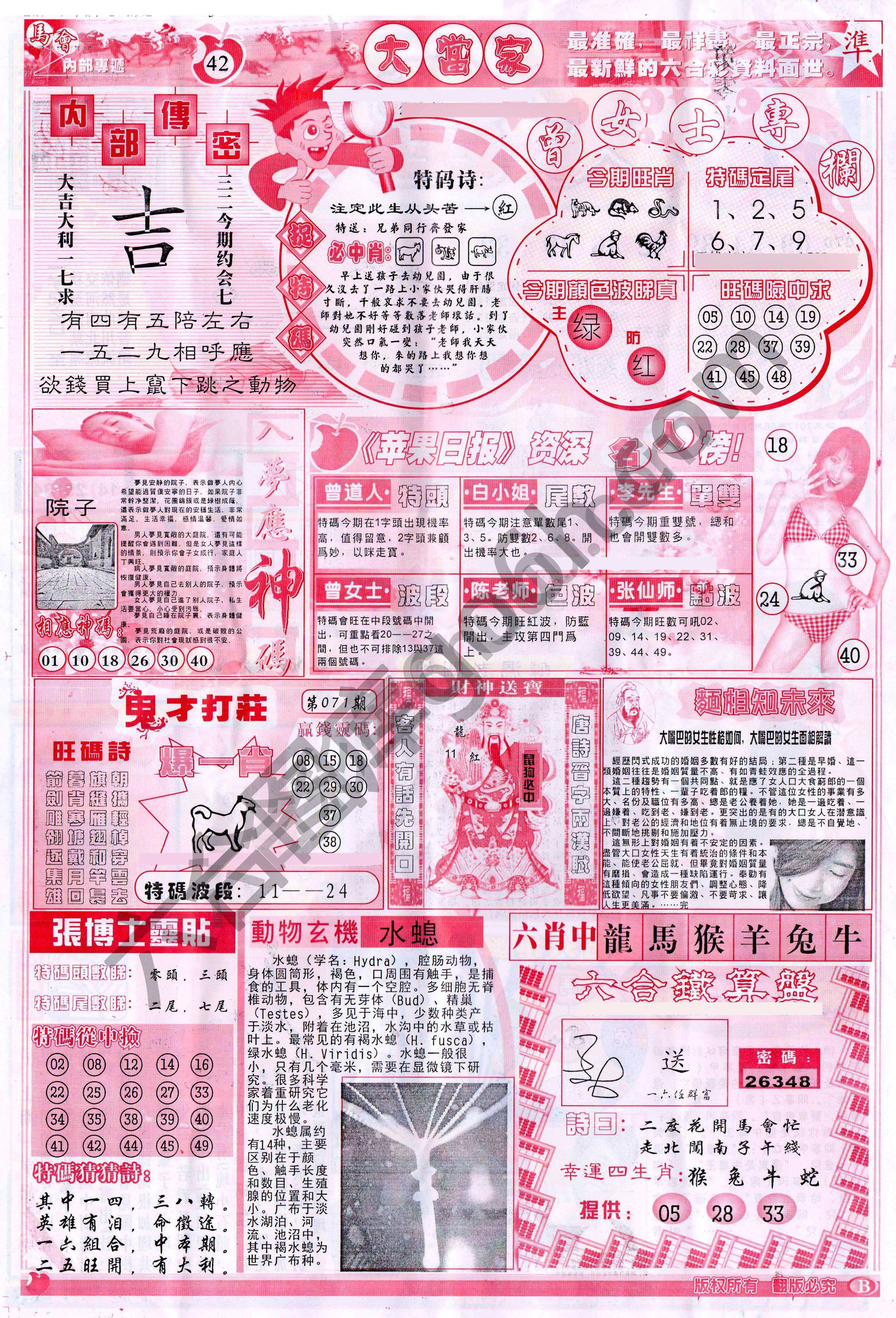大当家
