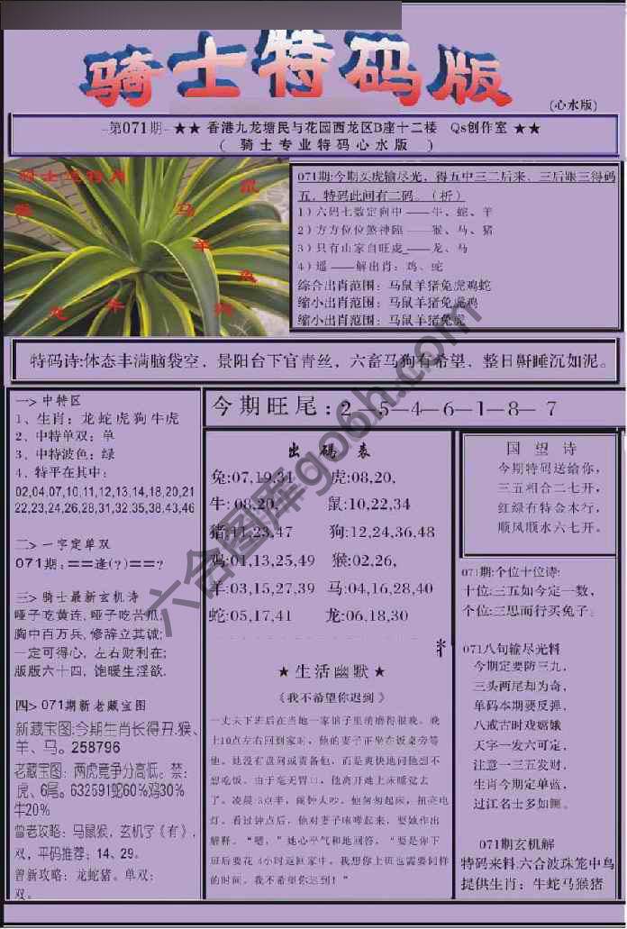 另类骑士特码版