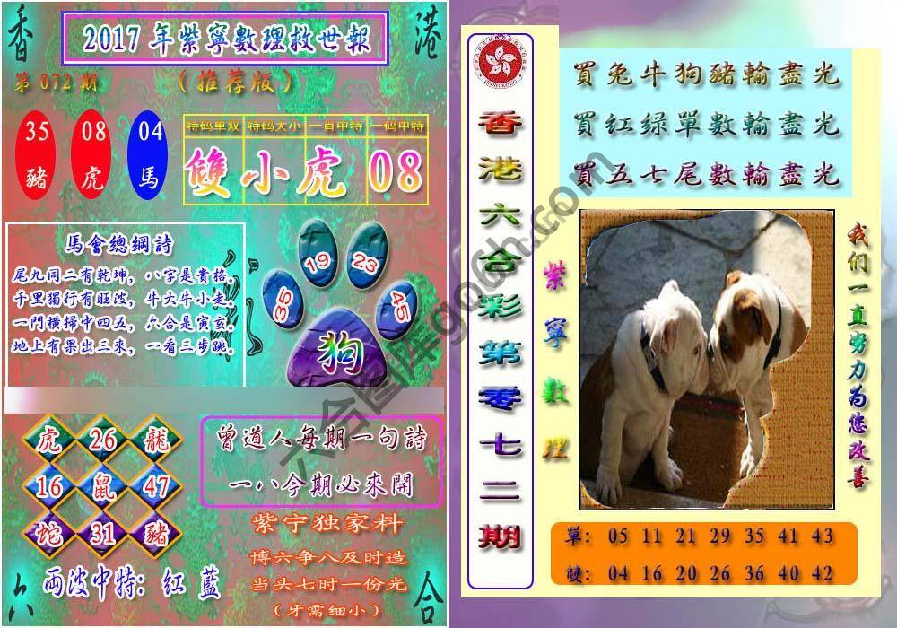数理救世报
