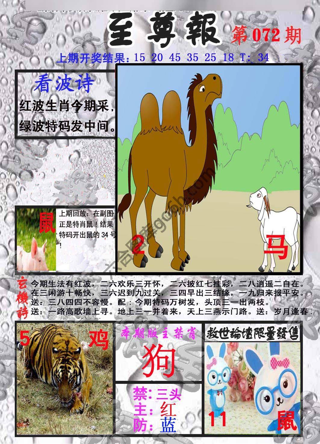 至尊报