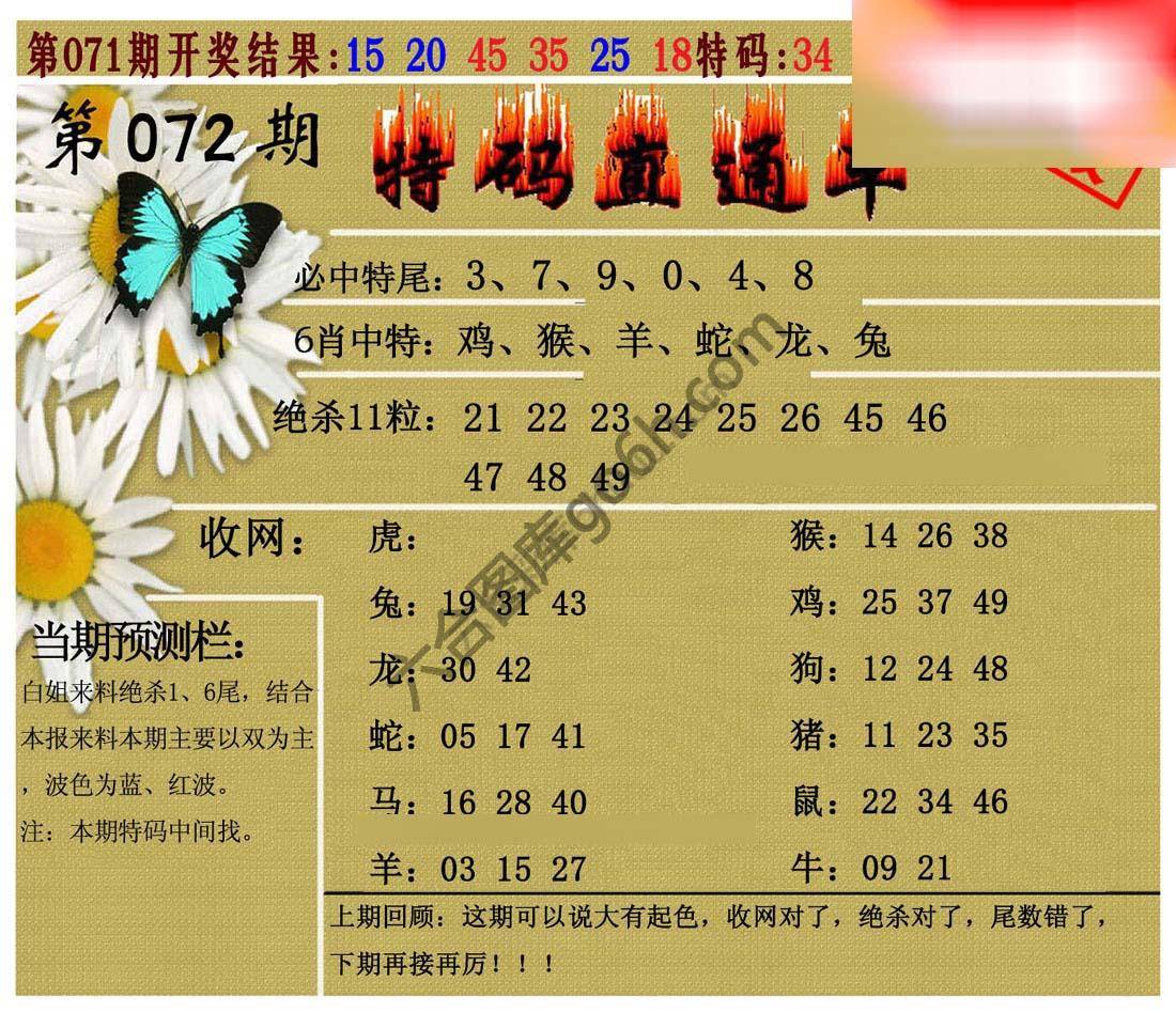 特码直通车