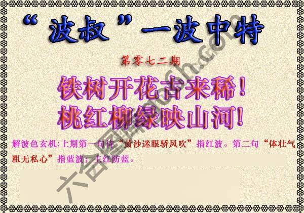 波叔一波中特
