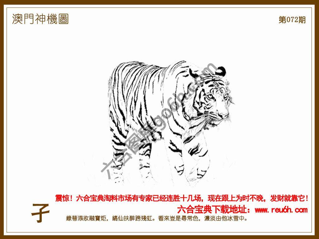 澳门神机图