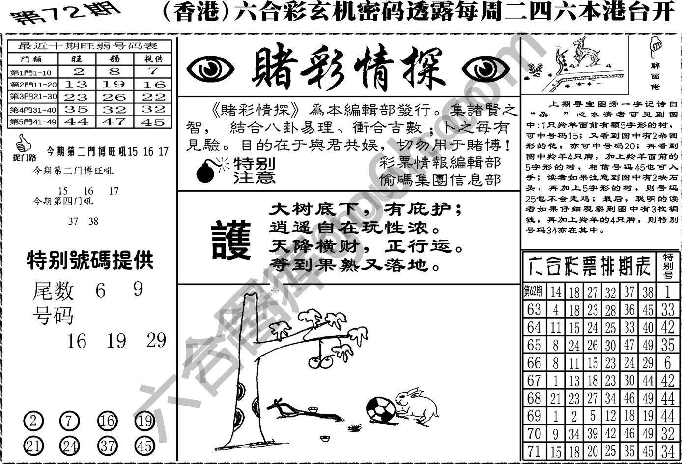 赌彩情探