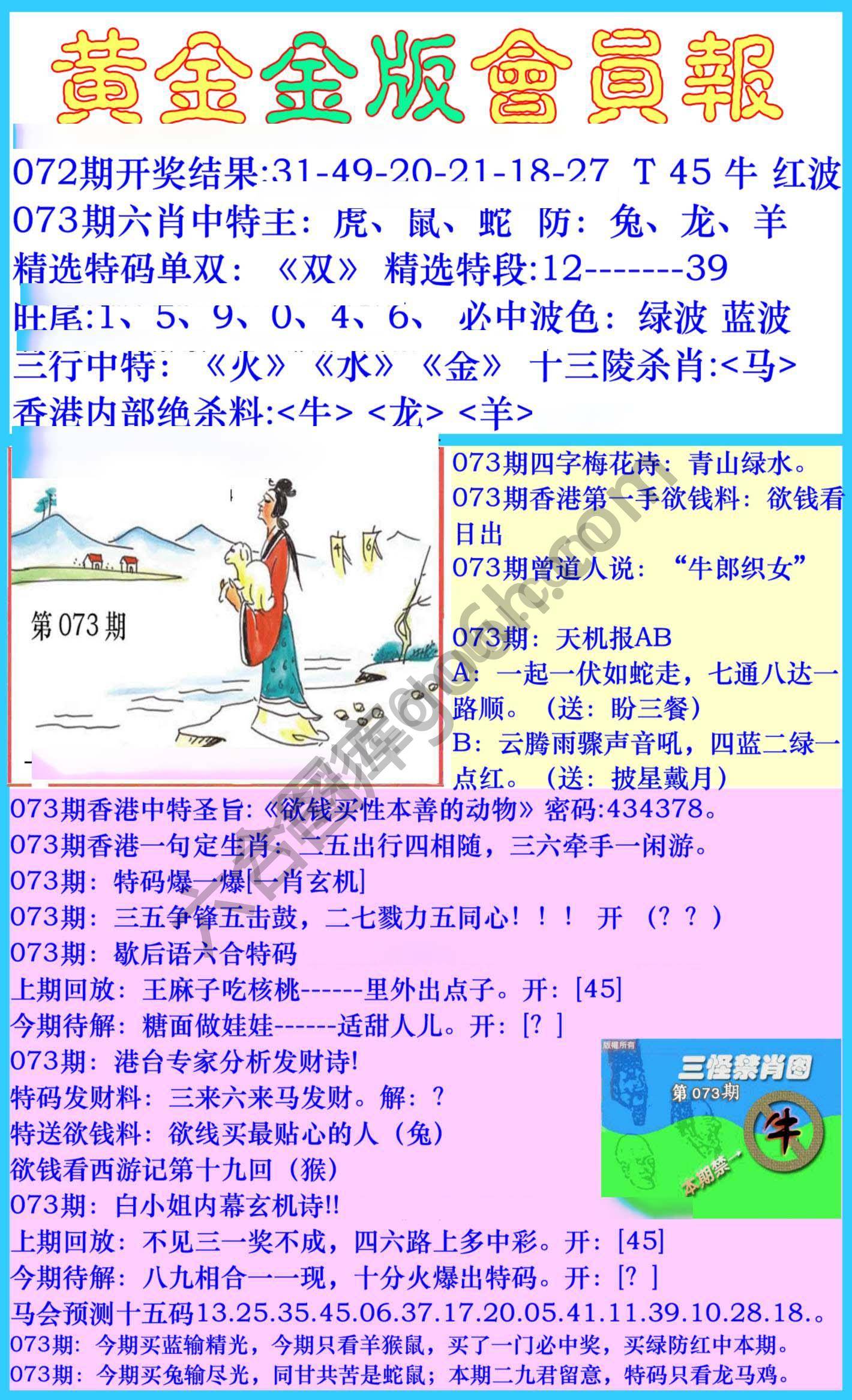 黄金金版会员报