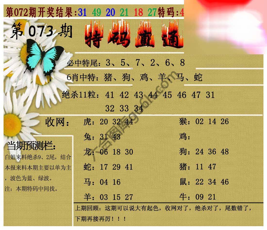 特码直通车