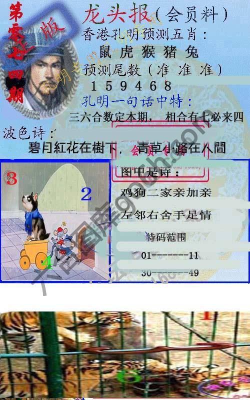 龙头报