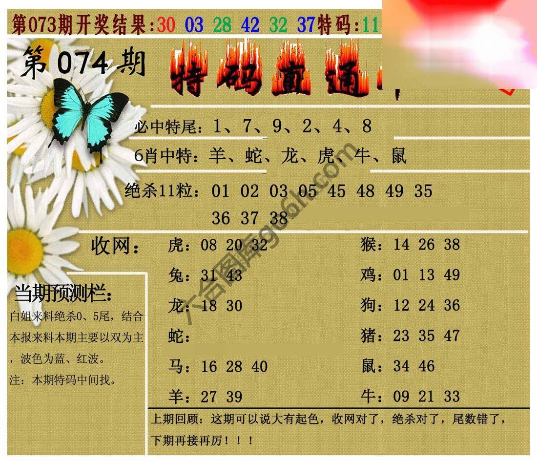 特码直通车