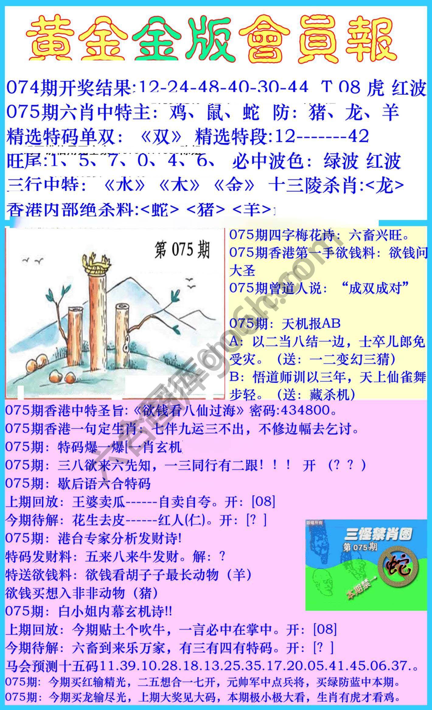 黄金金版会员报