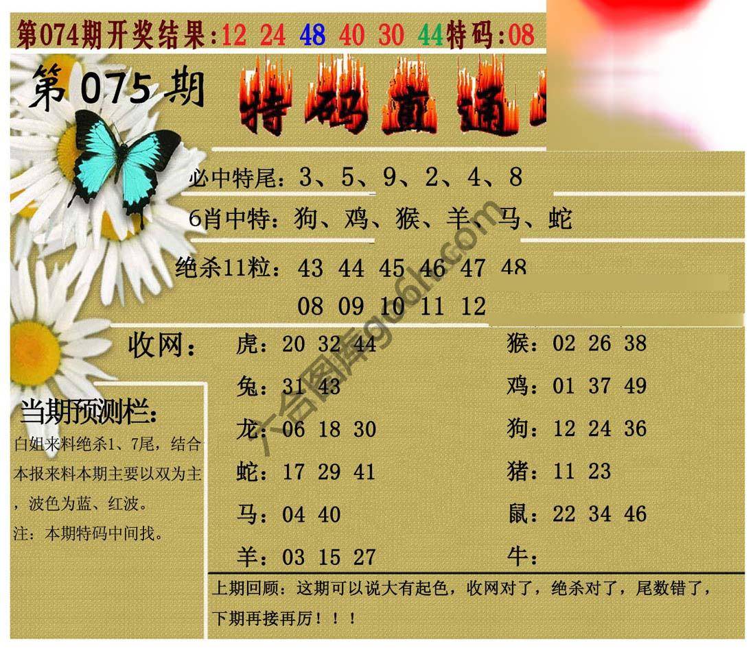 特码直通车