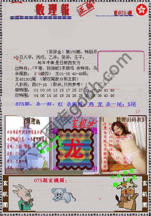 数理报