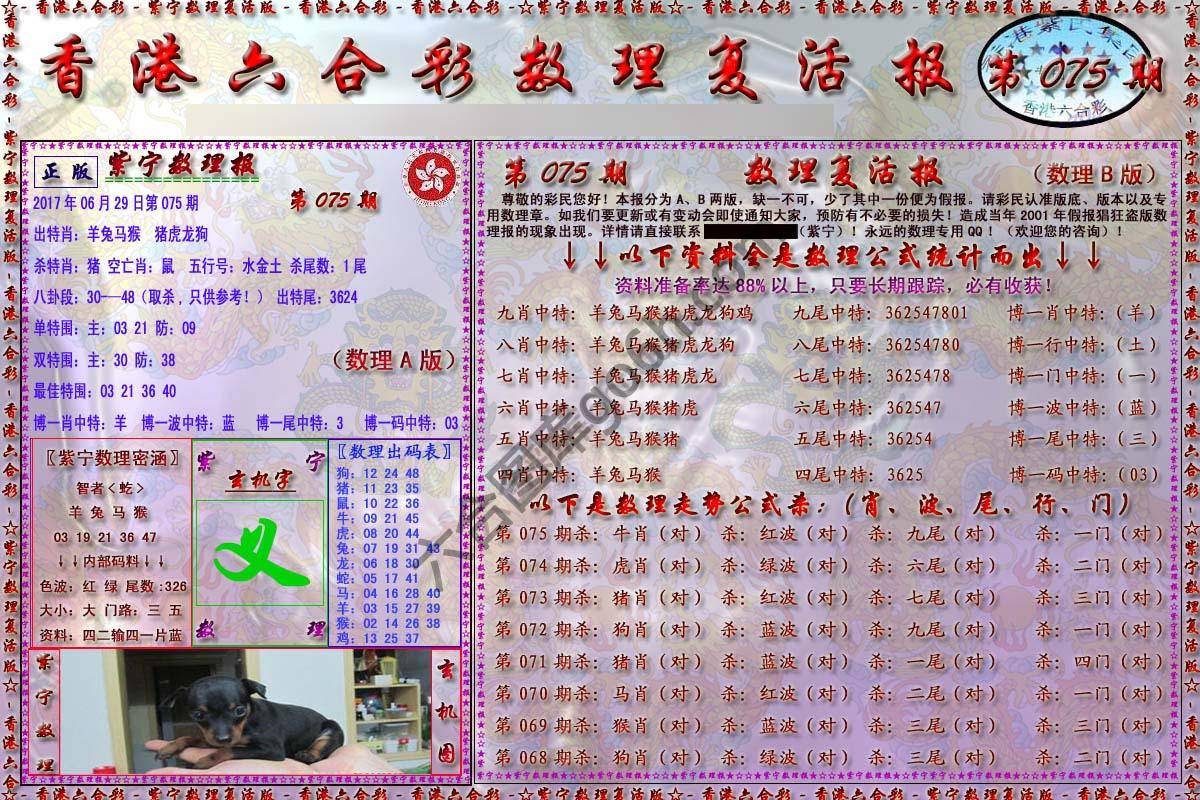数理复活报