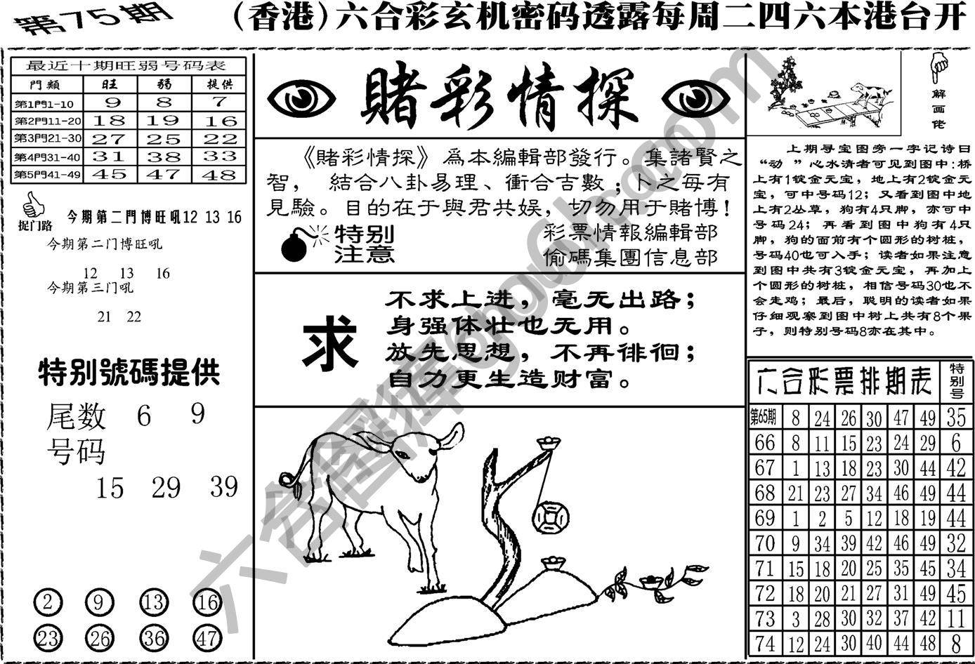 赌彩情探