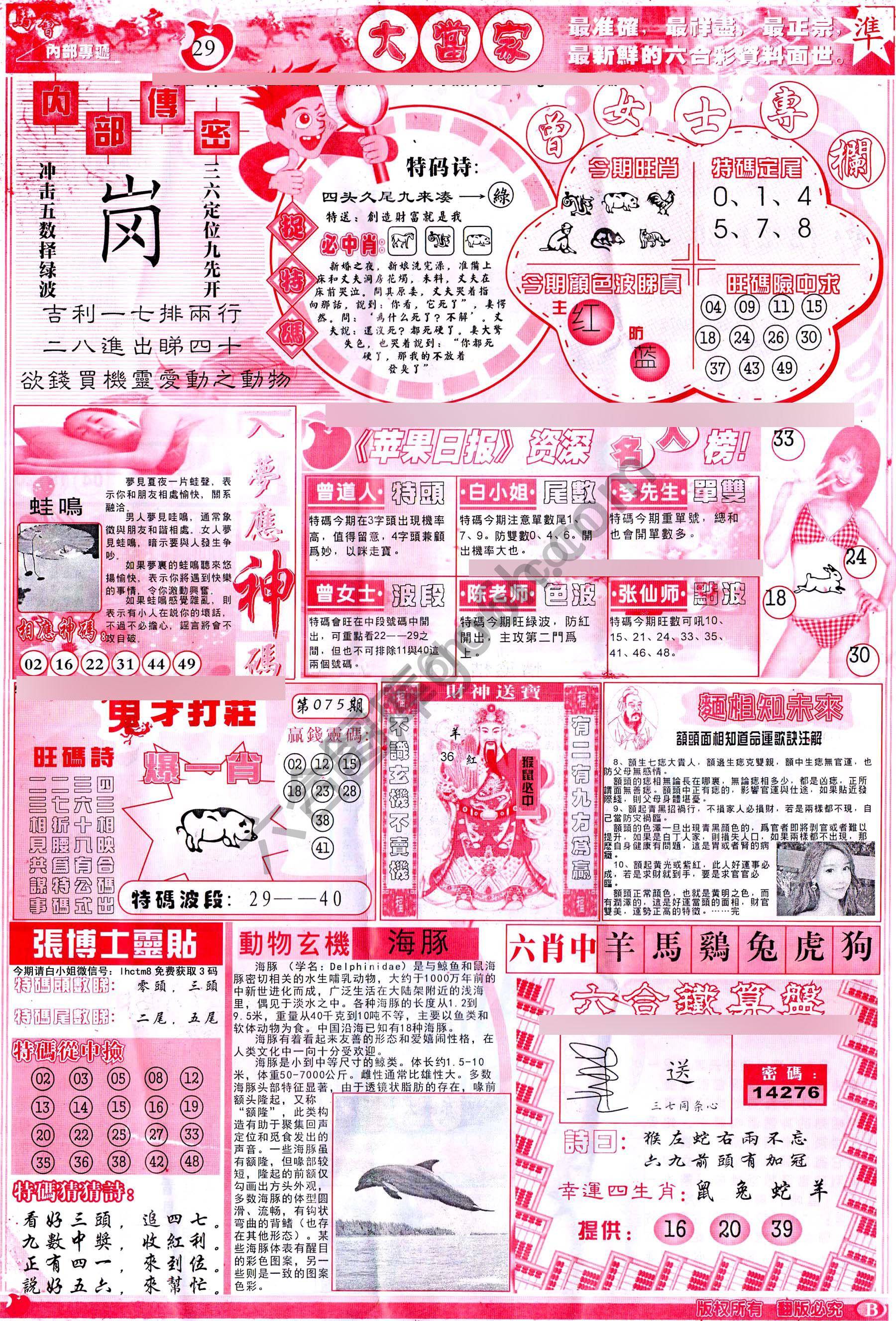 大当家