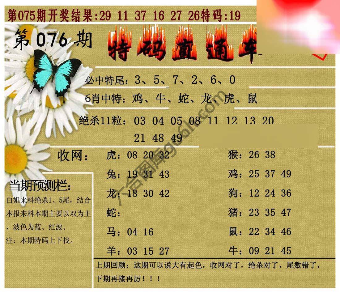 特码直通车