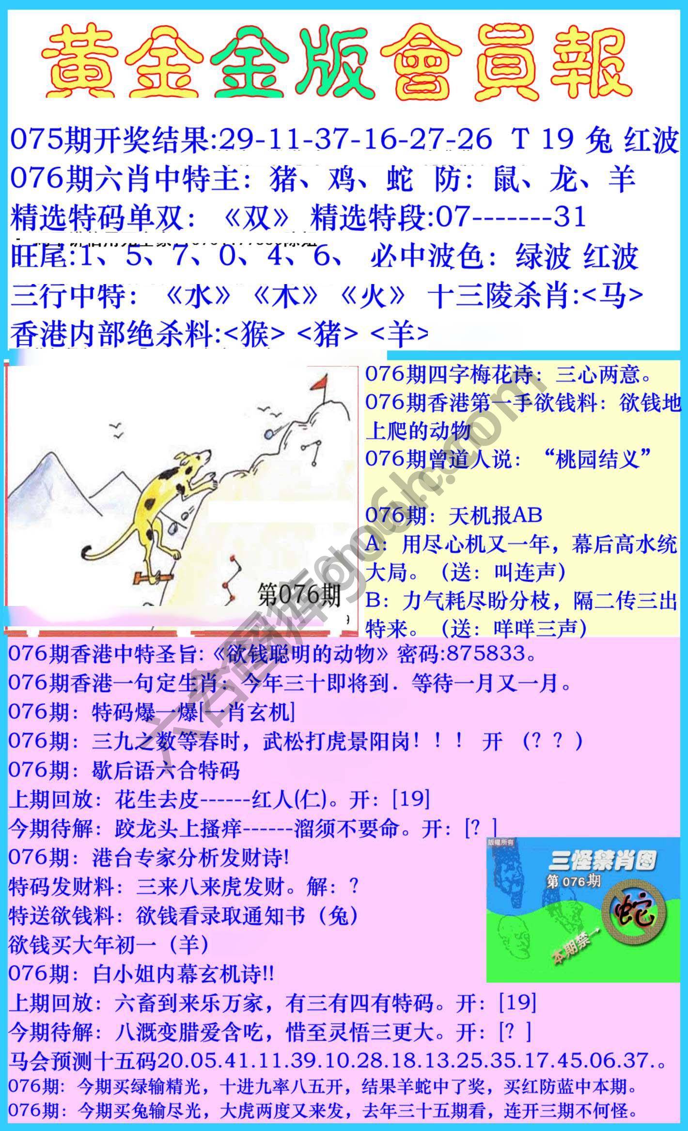 黄金金版会员报