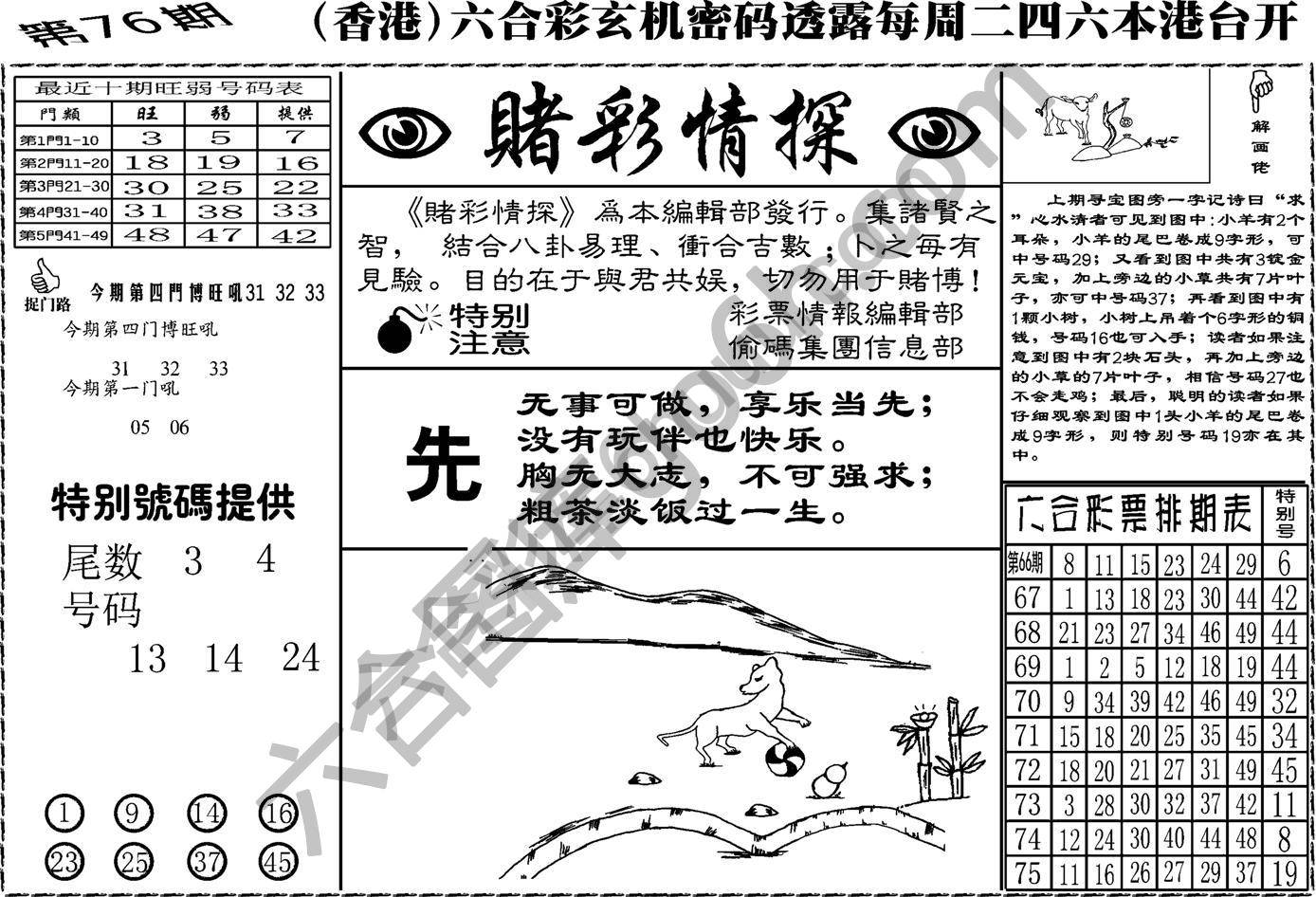 赌彩情探