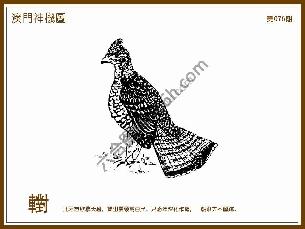 澳门神机图