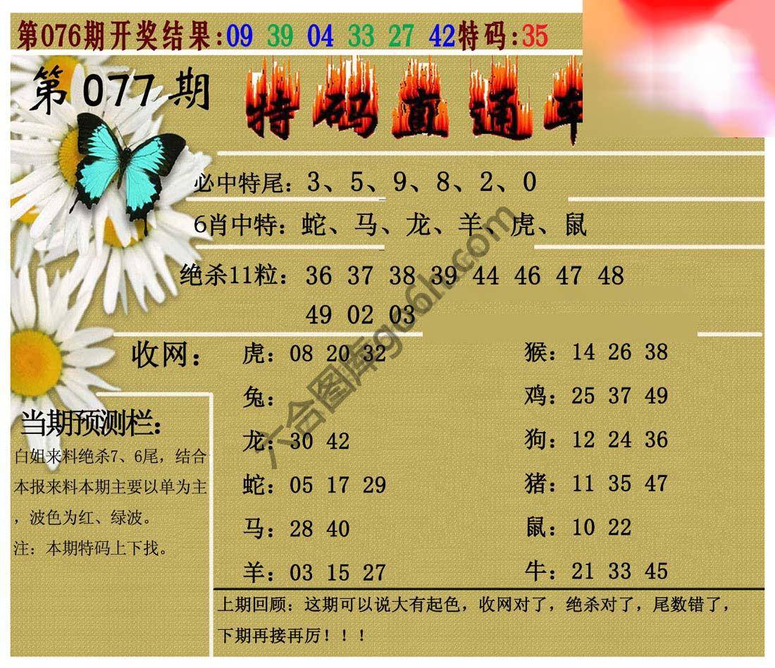 特码直通车