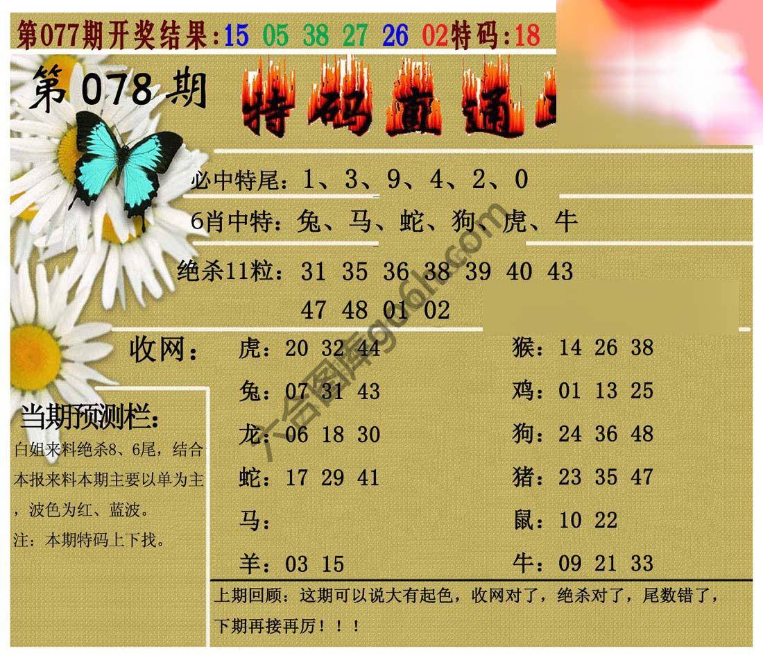 特码直通车
