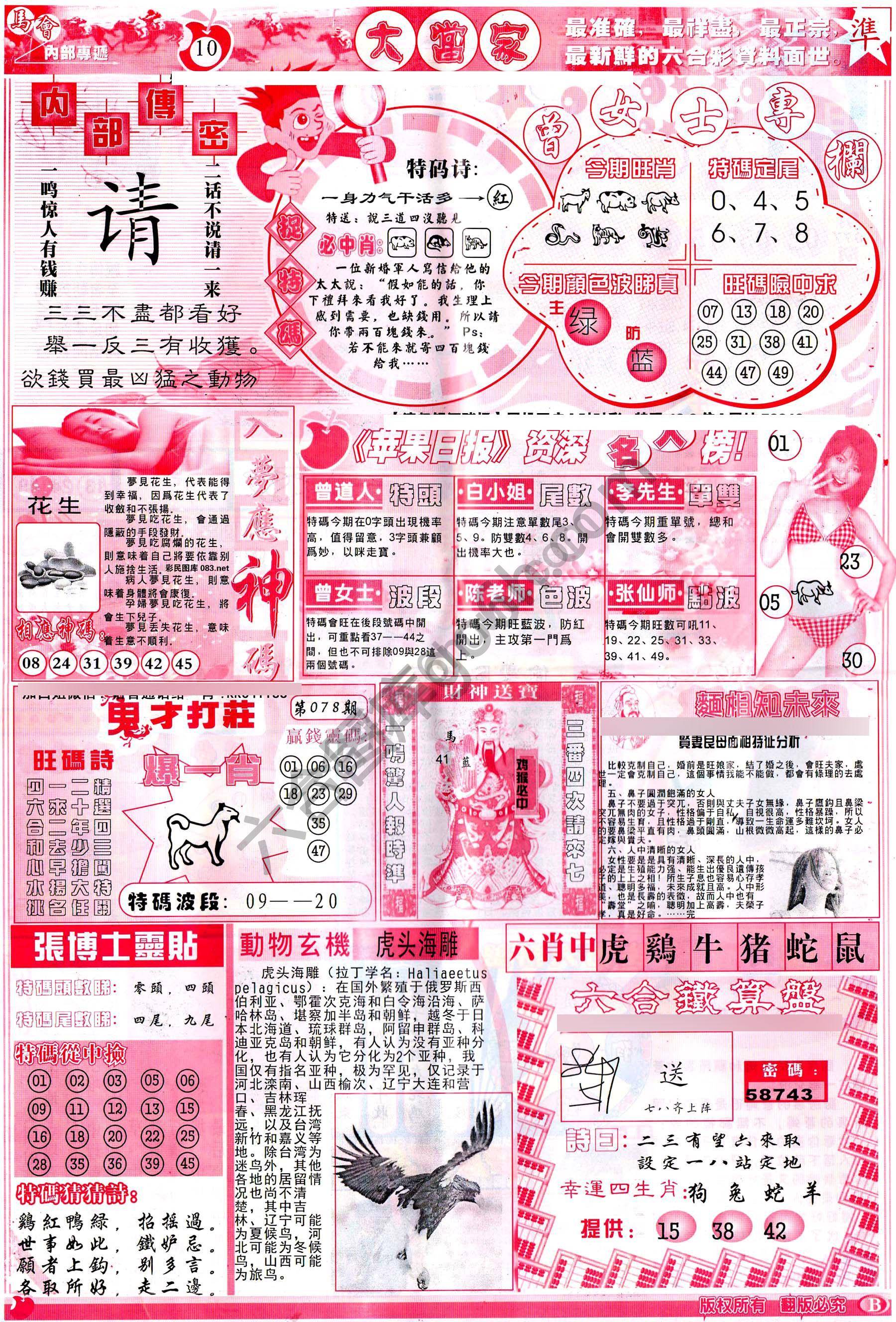 大当家