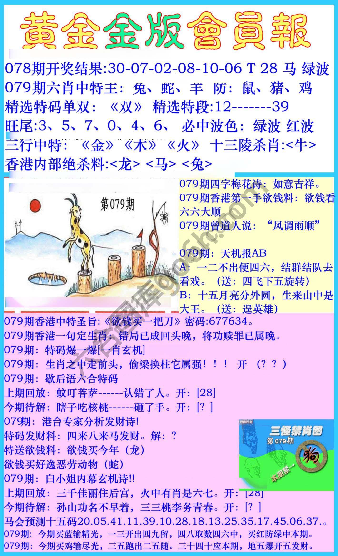 黄金金版会员报