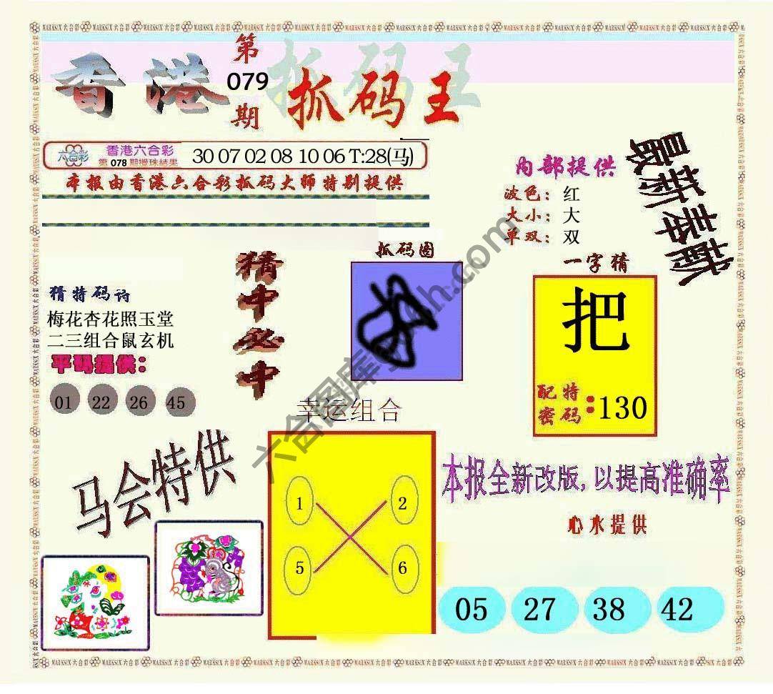 新抓码王