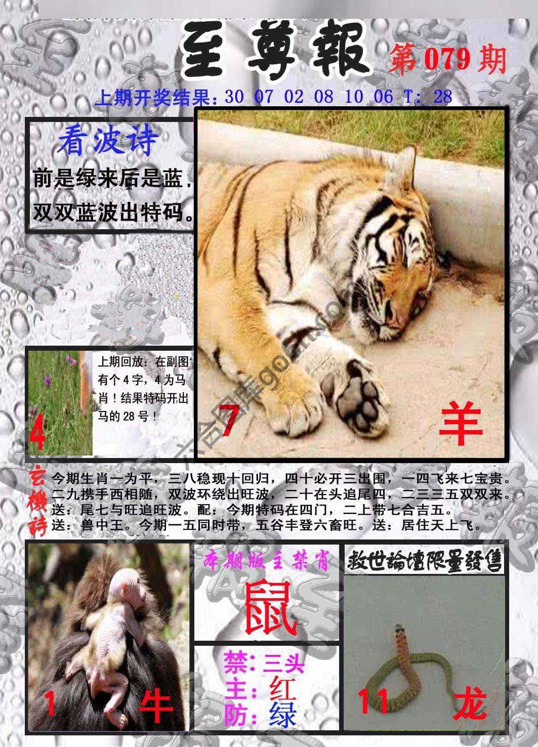 至尊报