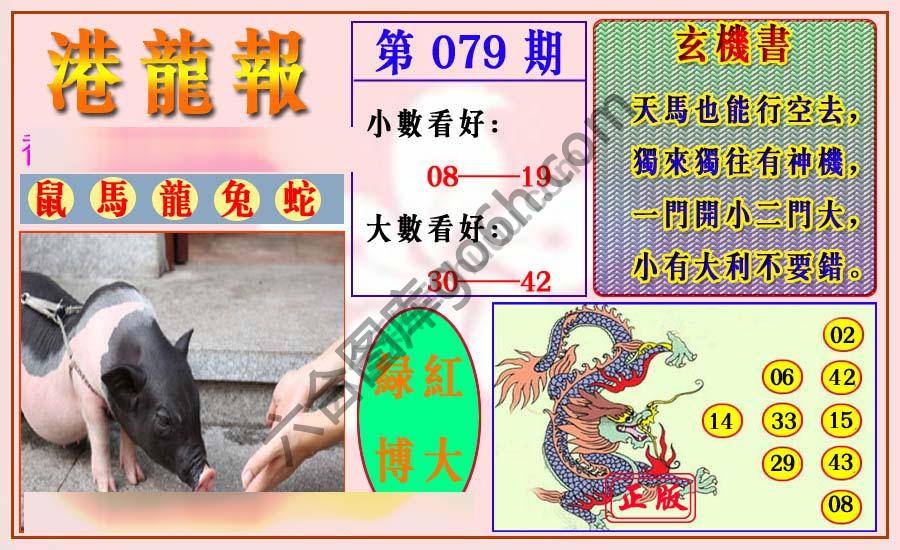 港龙报