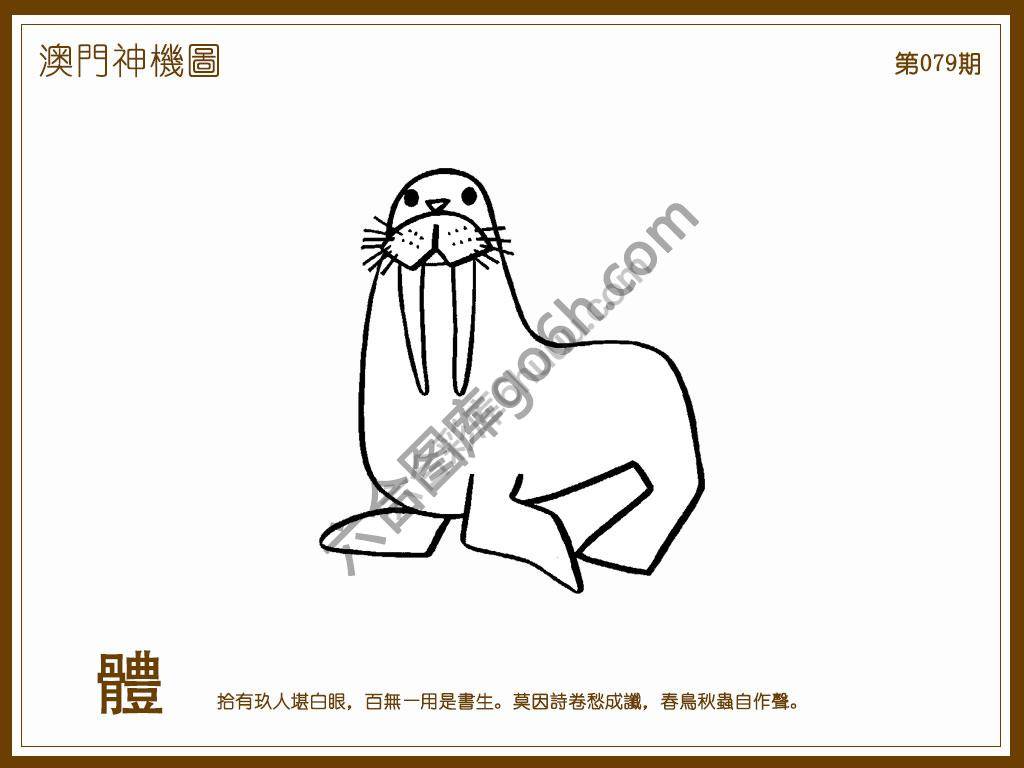 澳门神机图