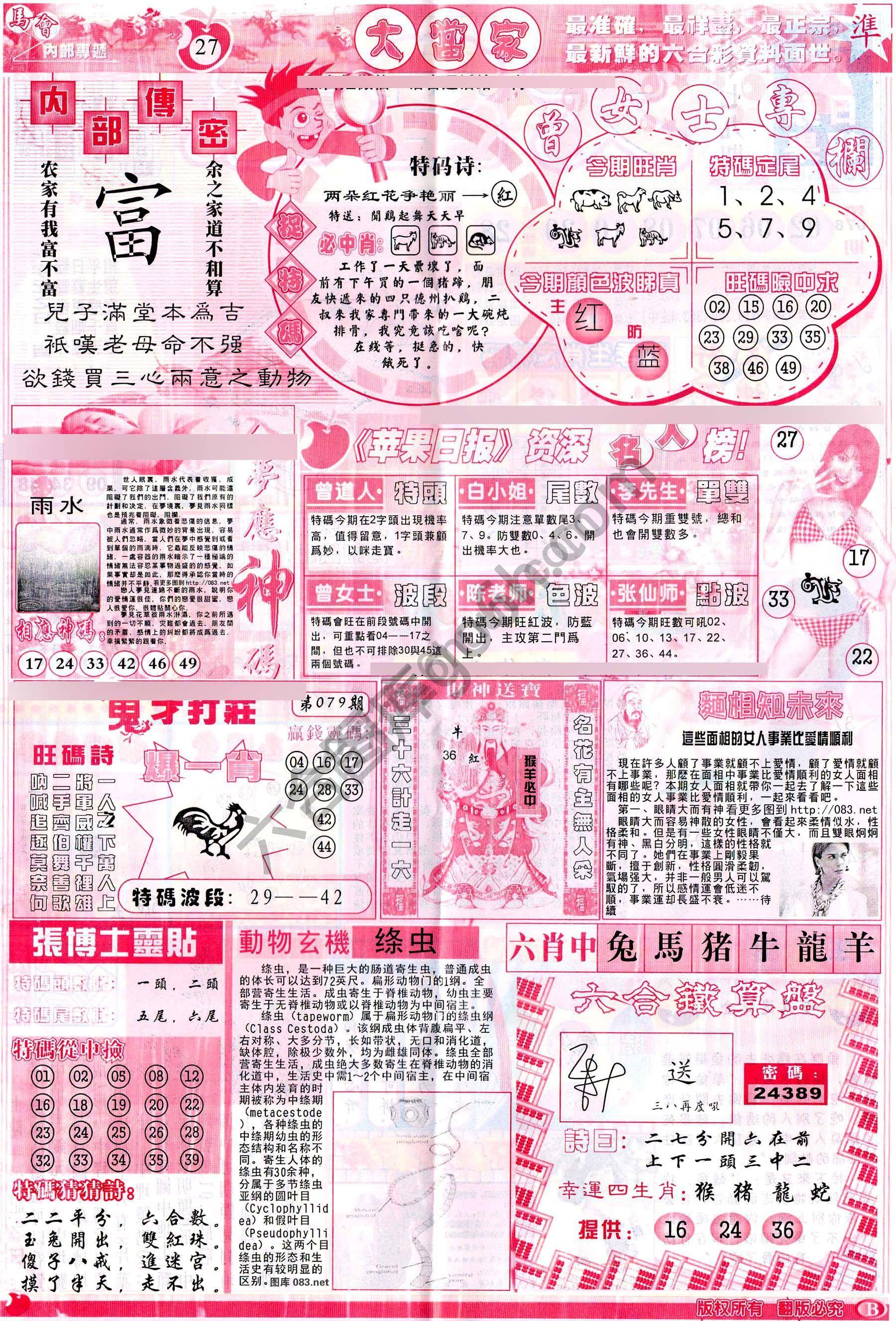 大当家