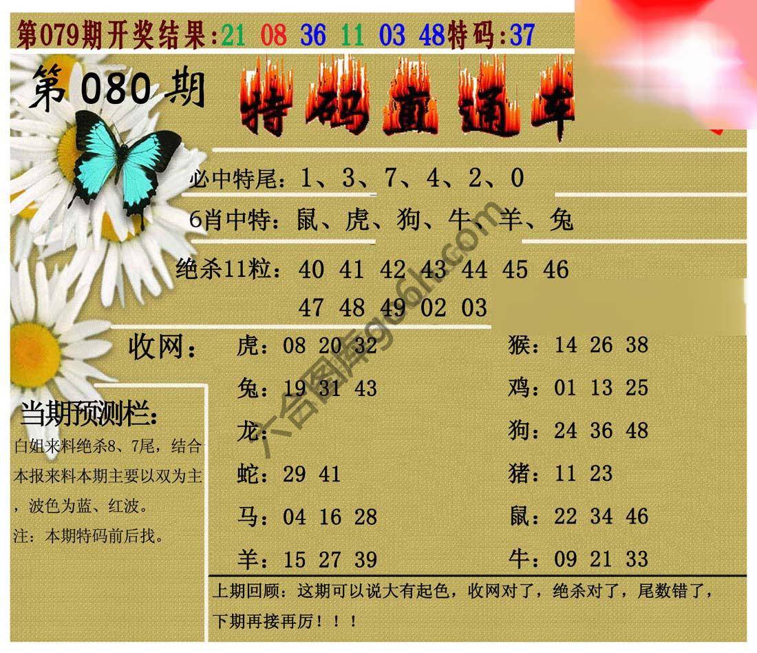 特码直通车