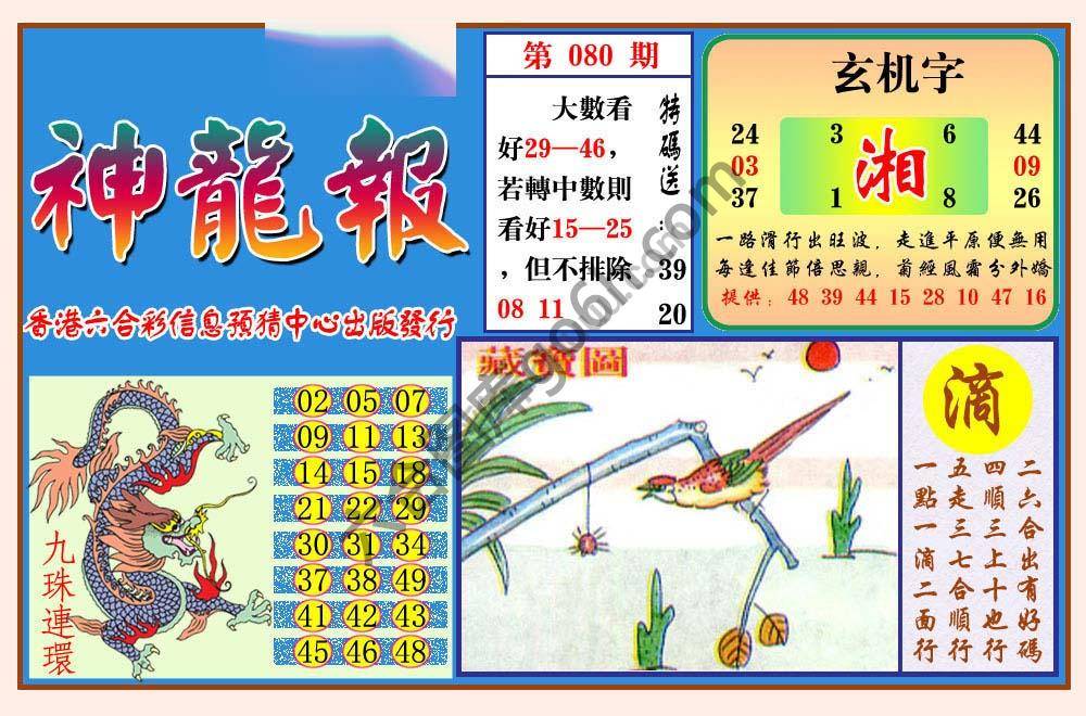 蓝月亮神龙报