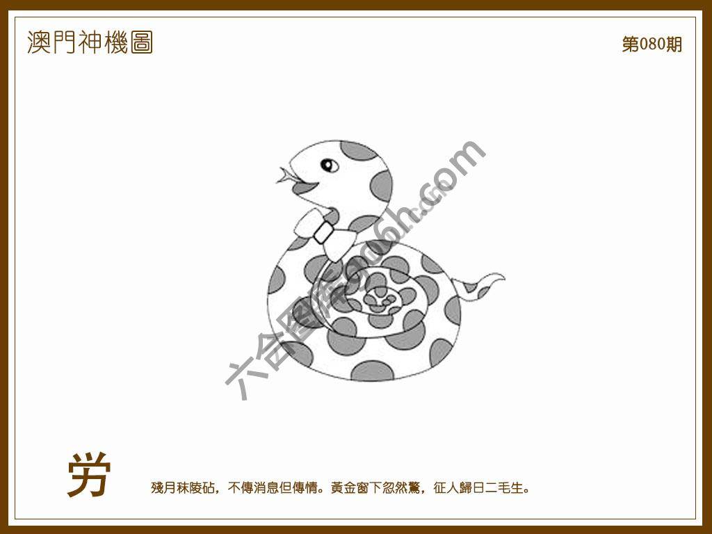 澳门神机图