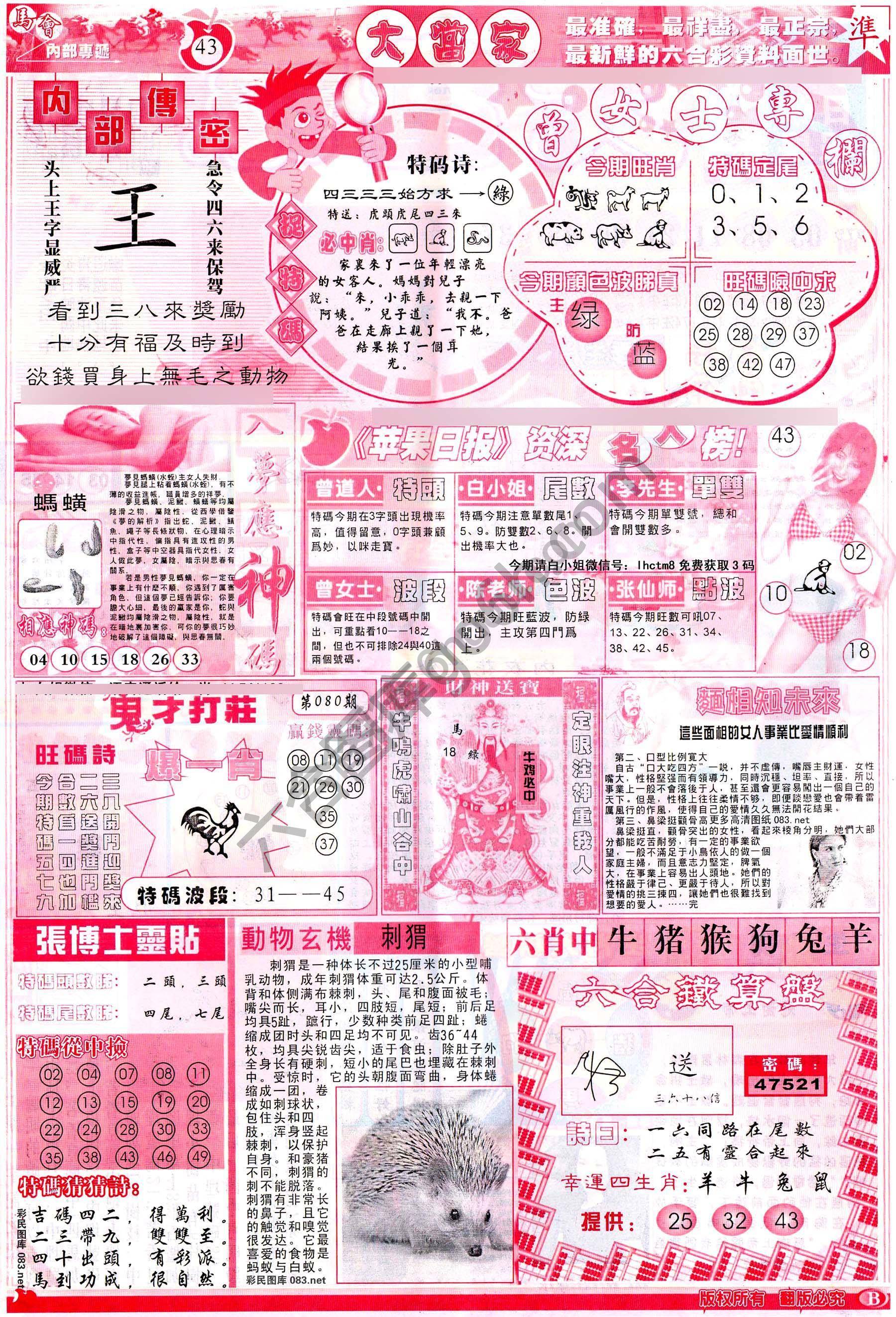 大当家