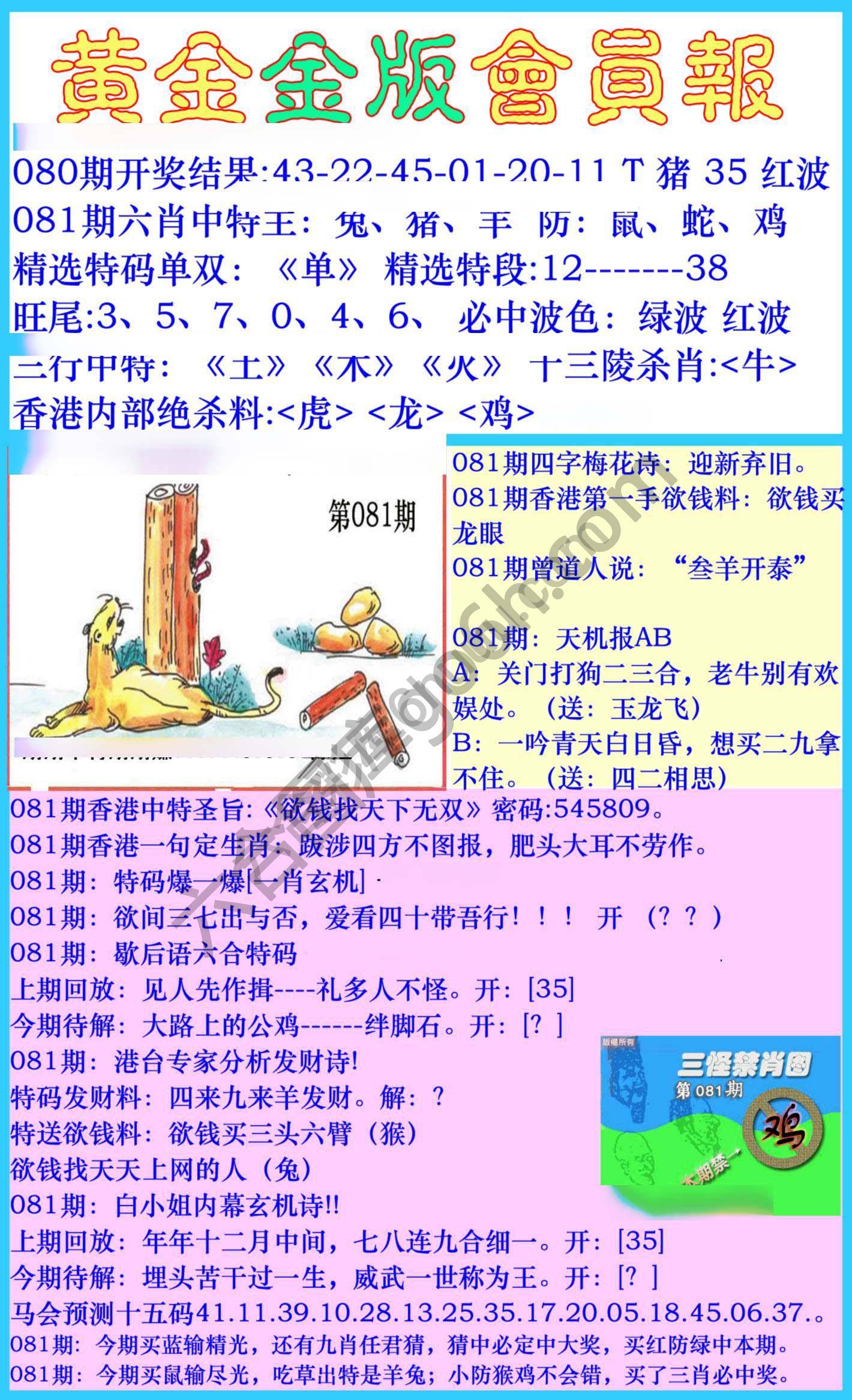 黄金金版会员报