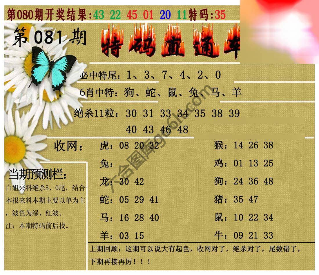 特码直通车