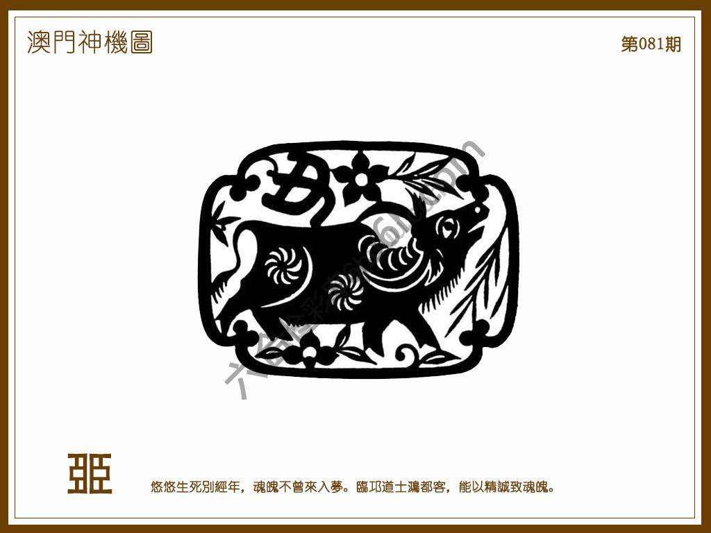 澳门神机图