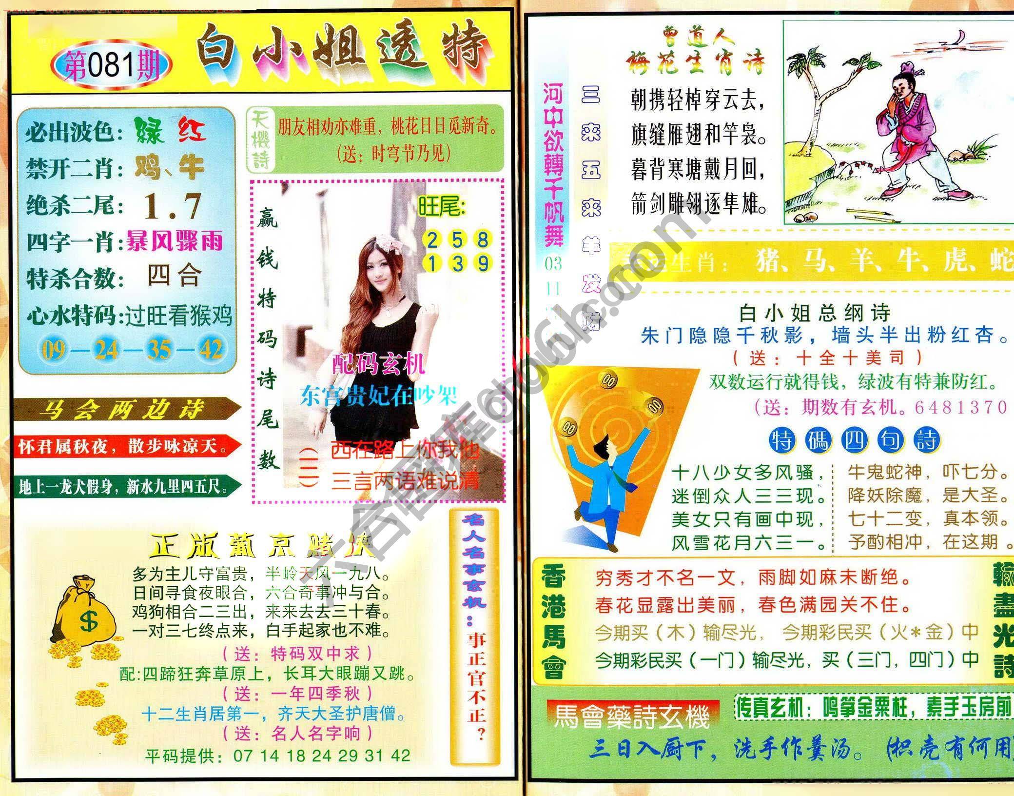 白小姐透特