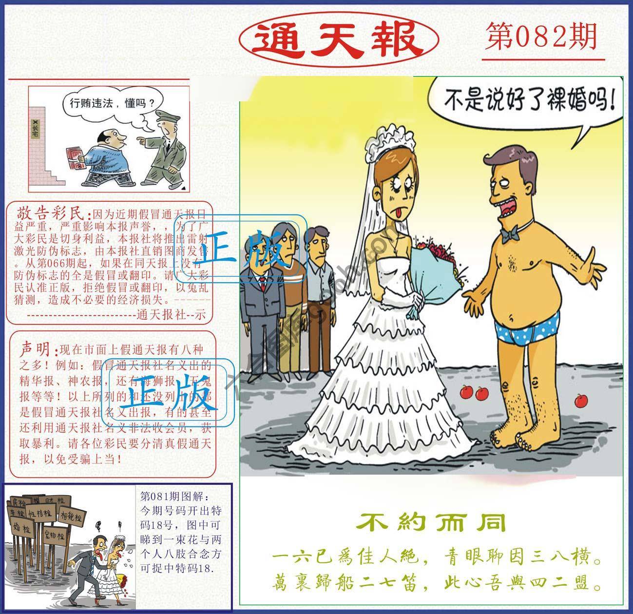 正版通天报